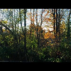 Meet your Posher, Angel